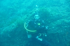 Capraia_sett_2_20_800