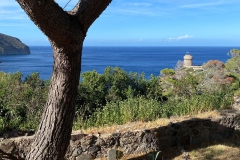 Capraia_SETT_100_800