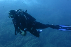 Capraia_SETT_107_800