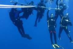Capraia_SETT_115_800