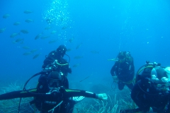 Capraia_SETT_77_800