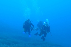 Elb_ott_92_800