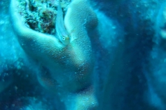 Mar_Rosso_246_800