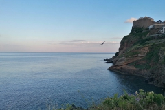 Capraia_giu_01_23_55_800