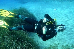 Capraia_Giu_02_23_152_800