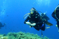 Capraia_Giu_02_23_157_800