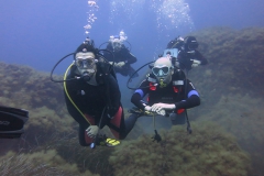 Capraia_giu2_24_45_800