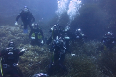 Capraia_giu2_24_56_800