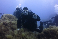 Capraia_giu2_24_59_800