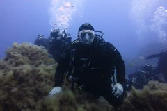Capraia_giu2_24_60_800