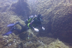 Capraia_giu2_24_62_800