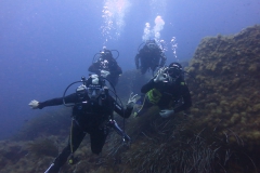 Capraia_giu2_24_63_800