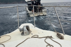 Capraia_nov_24_16_800