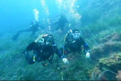 Capraia_nov_24_20_800
