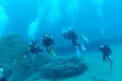Capraia_sett_24_05_800