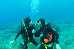 Capraia_sett_24_41_800