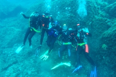Capraia_sett_24_71_800