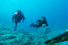 Elba_giu_24_12_800