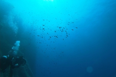 Elba_giu_24_13_800