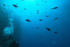 Elba_giu_24_16_800