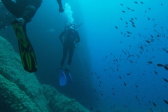 Elba_giu_24_18_800
