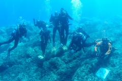 Elba_giu_24_28_800