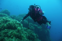 Elba_giu_24_30_800