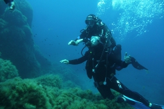 Elba_giu_24_31_800