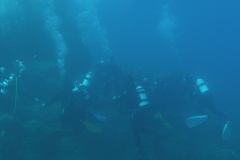 Elba_giu_24_36_800