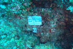 DCIM\100GOPRO\GOPR0405.JPG
