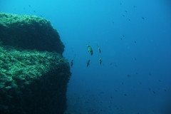 Elba_sett_24_16_800
