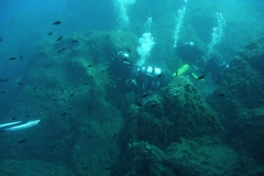 Elba_sett_24_17_800