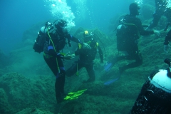 Elba_sett_24_23_800