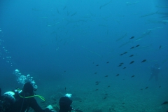 Elba_sett_24_26_800