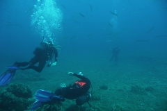 Elba_sett_24_27_800