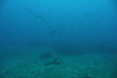 Elba_sett_24_29_800
