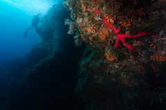 Eolie_lug_24_52_800