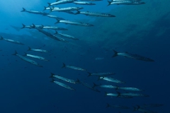 Eolie_lug_24_53_800