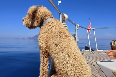 Eolie_lug_24_59_800