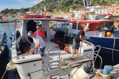 Giglio_mag_24_13_800
