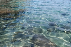 Giglio_mag_24_25_800