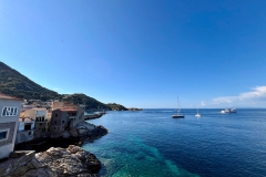 Giglio_mag_24_50_800