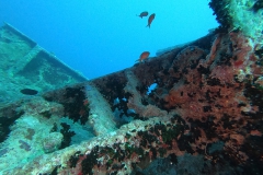Mar_Rosso_24_108_800.jpg