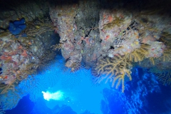 Mar_Rosso_24_128_800.jpg