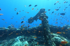 Mar_Rosso_24_61_800.jpg