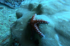 Mar_Rosso_24_66_800.jpg