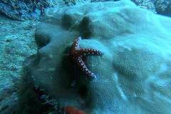 Mar_Rosso_24_67_800.jpg
