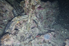 Mar_Rosso_24_76_800.jpg