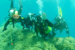 Elba_mag_25_14_800