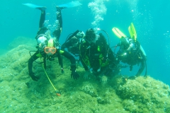 Elba_mag_25_15_800